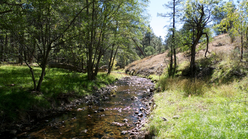 20111013_14-24-30_mimbres_cjt