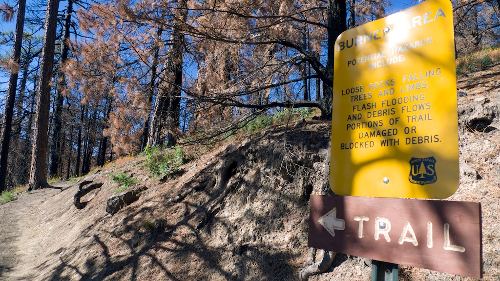 20111016_10-06-30_chiricahua_cjt