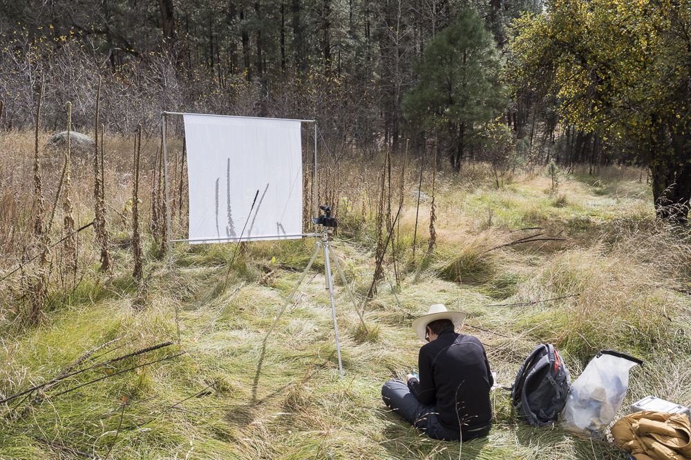 Hannah recording light, time and transformation, Mimbres River, New Mexico. Photo by Chris Taylor. 20181031_130145_landarts_untitled.jpg